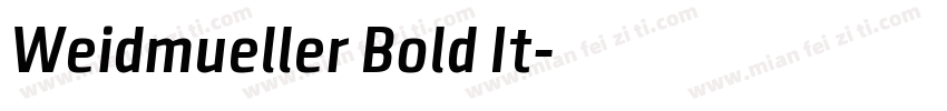 Weidmueller Bold It字体转换